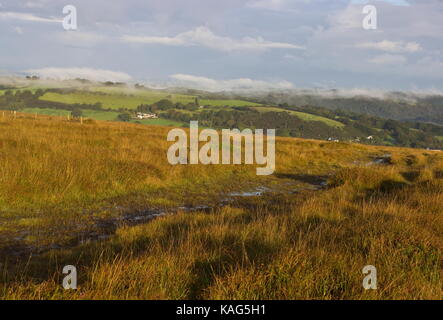 Misty Morning in Richtung Lydford Gorge Nationalpark Dartmoor Devon England suchen Stockfoto