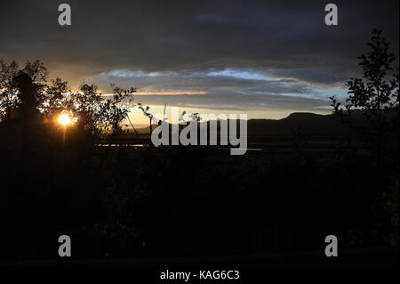 Sonnenuntergang hinter Moel Y Gest. und die einheimische Flora. Porthmadog. Stockfoto