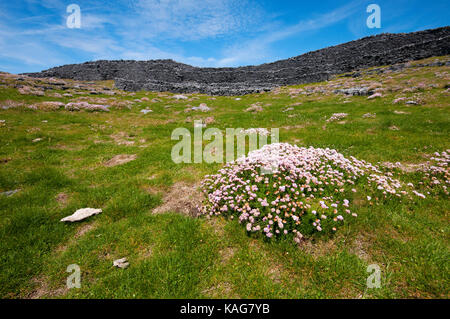 Die Ruinen der Festung Dun Duchathair (Schwarz) an der Insel Inishmore, Aran Islands, County Galway, Irland Stockfoto