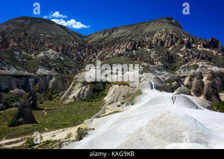 Typische Landschaft mit Feenkamine, erodiert Sandstein Felsformationen in Pasabagi, in der Nähe von Göreme und Çavusin. Kappadokien. Zentralanatolien. Türkei Stockfoto