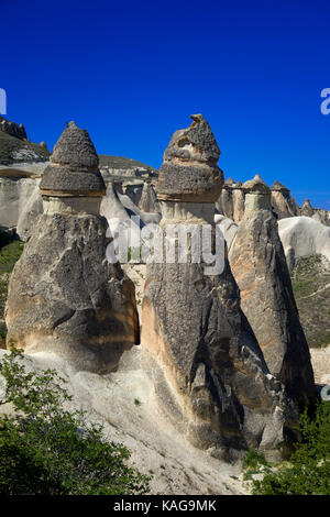 Typische Feenkamine, erodierten Felsformationen aus Sandstein in Pasabagi, in der Nähe der Städte von Göreme und Çavusin. Kappadokien. Zentralanatolien. Türkei Stockfoto