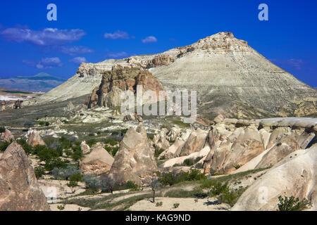 Typische Landschaft mit Feenkamine, erodiert Sandstein Felsformationen in Pasabagi, in der Nähe von Göreme und Çavusin. Kappadokien. Zentralanatolien. Türkei Stockfoto