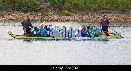 Drachenbootrennen am Fühlinger Siehe, Köln Stockfoto