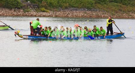 Drachenbootrennen am Fühlinger Siehe, Köln Stockfoto