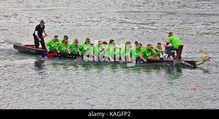 Drachenbootrennen am Fühlinger Siehe, Köln Stockfoto