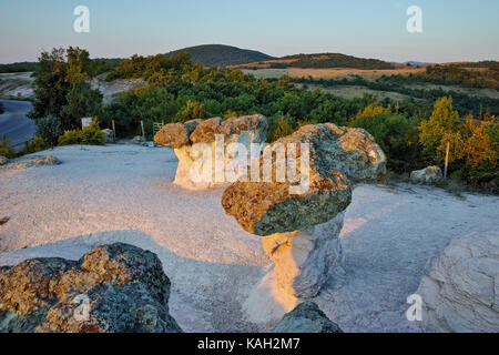 Der Stein Pilze gesehen von oben in der Nähe von Beli Plast Dorf, Kardschali Region, Bulgarien Stockfoto