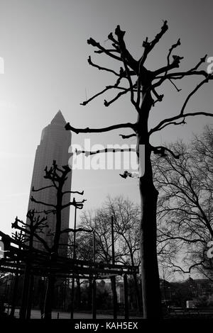 Frankfurt am Main, Deutschland - 16 März 2017: Kontrast Silhouetten von Blattlosen Platanen mit Messeturm (Messe Turm) im Dunst auf der backgro Stockfoto