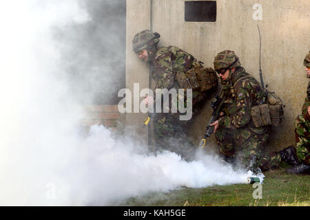 Reservisten vom Londoner TA Infanterie Regiment, das London Regiment, eine zusammengesetzte Rechnungsabschlusses in Vorbereitung für Afghanistan. Norfolk. 10.12 Stockfoto