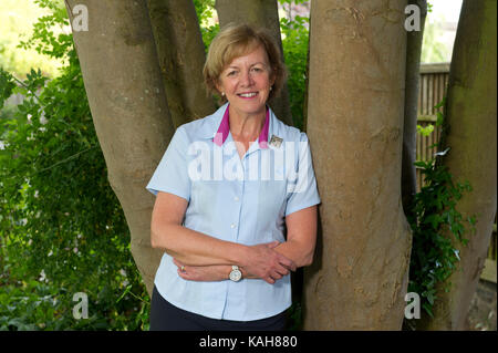 Gill Slocombe, Leiter führen. Stockfoto