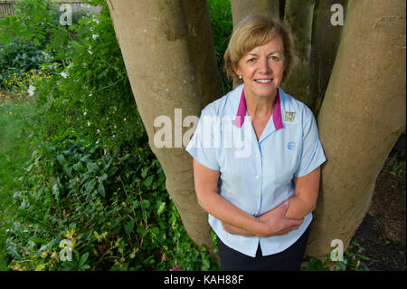 Gill Slocombe, Leiter führen. Stockfoto