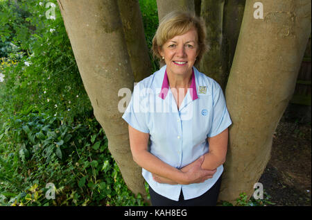 Gill Slocombe, Leiter führen. Stockfoto