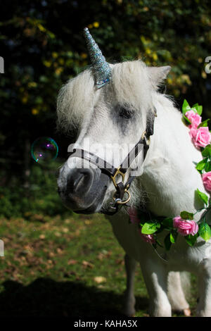 Ein weißes Einhorn Pony mit Blumen um den Hals Stockfoto
