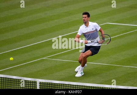 Novak Djokovic aus Serbien in Aktion während seinem Match gegen Vasek Pospisil von Kanada am Tag sechs der Aegon International an der Devonshire Park, Eastbourne. 28 Jun 2017 Stockfoto
