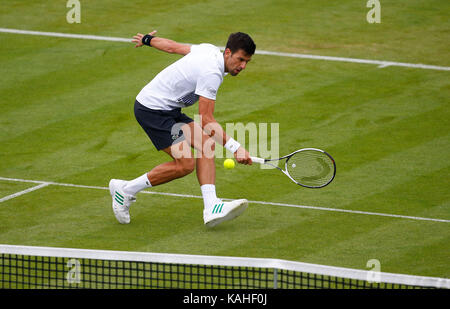 Novak Djokovic aus Serbien spielt eine Rückhand während seinem Match gegen Vasek Pospisil von Kanada am Tag sechs der Aegon International an der Devonshire Park, Eastbourne. 28 Jun 2017 Stockfoto