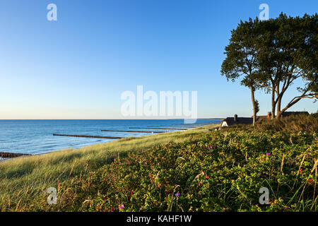 Küste in der Nähe von Ahrenshoop, Ostsee, Ahrenshoop, Mecklenburg-Vorpommern, Deutschland Stockfoto