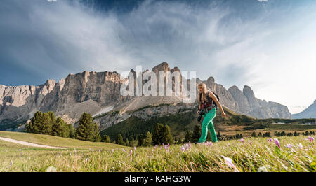 Wanderer vor der Sella Gruppe mit Piscadu, Grödner Joch, Passo Gardena, natur park Park Naturpark Puez-Geisler, Dolomiten Stockfoto