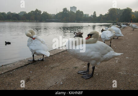 London, Großbritannien. 26. September 2017. Hazy Sonnenschein und Herbstfarben im Hyde Park. Credit: Malcolm Park/Alamy Leben Nachrichten. Stockfoto