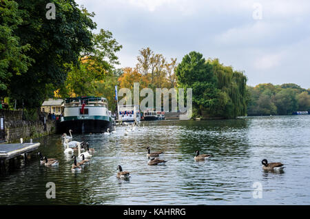 Ein Blick auf die Themse in Windsor im frühen Herbst. Stockfoto