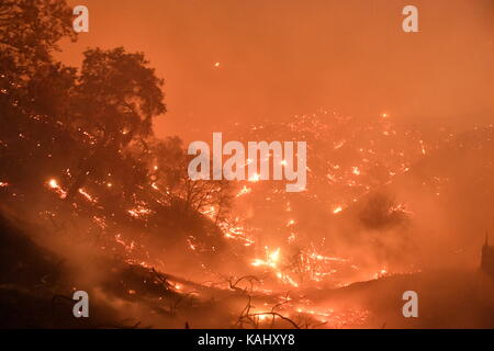 Corona Ca Usa 25 Sep 2017 Der Canyon Feuer Brennt In Der Nahe Von Wohnungen In Der Corona Ca Montag September 25 2017 Das Feuer Begann In Der Nahe Von Coal Canyon