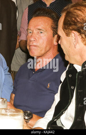 Arnold Schwarzenegger Schauspieler feiern mit Massenbier im Schützenzelt Festzelt beim 184. Oktoberfest auf der Theresienwiese am Dienstag, 26. September 2017 in München Stockfoto