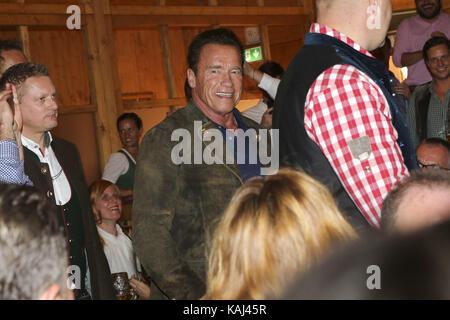 Arnold Schwarzenegger Schauspieler feiern mit Massenbier im Schützenzelt Festzelt beim 184. Oktoberfest auf der Theresienwiese am Dienstag, 26. September 2017 in München Stockfoto