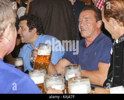 Arnold Schwarzenegger Schauspieler feiern mit Massenbier im Schützenzelt Festzelt beim 184. Oktoberfest auf der Theresienwiese am Dienstag, 26. September 2017 in München Stockfoto