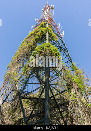 Große Telekommunikation Turm mit der Anlage auf dem Metall Struktur der Kommunikation. Stockfoto