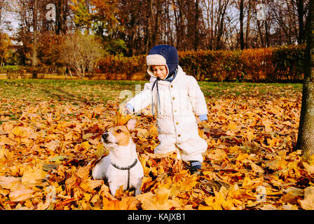 1-2 Jahre Junge spielt mit freundlicher Hund Haustier zu fallen (Herbst) Park Stockfoto