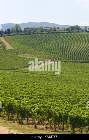 Weinberge in der Nähe von San Gimignano, die Stadt der schönen Türme in der Toskana, Italien Stockfoto