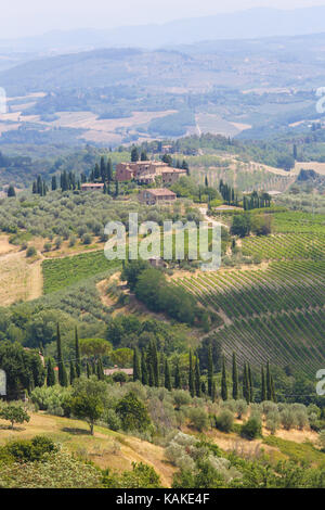 Weinberge in der Nähe von San Gimignano, die Stadt der schönen Türme in der Toskana, Italien Stockfoto