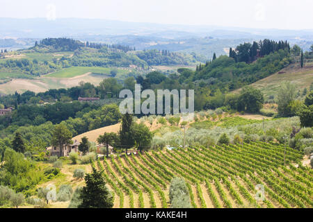 Weinberge in der Nähe von San Gimignano, die Stadt der schönen Türme in der Toskana, Italien Stockfoto