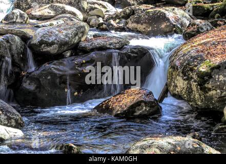 Cool plätschernden Bach in den Smokies Stockfoto