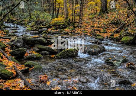 Plätschernde rocky Bach in den Smokies Stockfoto