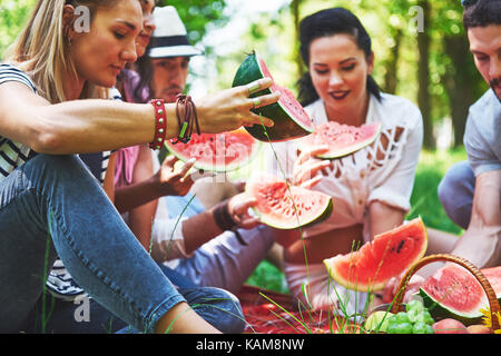 Gruppe von Freunden mit Picknick in einem Park an einem sonnigen Tag - Leute rumhängen, Spaß, Grillen und entspannen Stockfoto