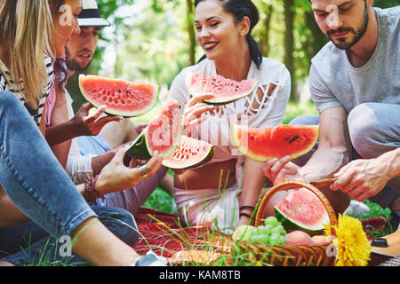 Gruppe von Freunden mit Picknick in einem Park an einem sonnigen Tag - Leute rumhängen, Spaß, Grillen und entspannen Stockfoto