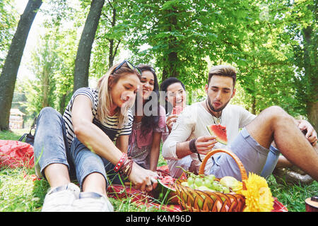 Gruppe von Freunden mit Picknick in einem Park an einem sonnigen Tag - Leute rumhängen, Spaß, Grillen und entspannen Stockfoto