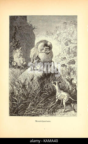 „Vom Nordpol zum Äquator“ erforscht die Regionen von Sibirien bis Afrika mit Illustrationen zum Verhalten von Tieren, Gewässern und vielem mehr. Es ist ein Werk der Beschreibung und des Reisens, das einen Einblick in Naturgeschichte und Geographie bietet. Stockfoto