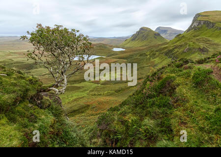 Quiraing, Isle of Skye, Schottland, Vereinigtes Königreich Stockfoto