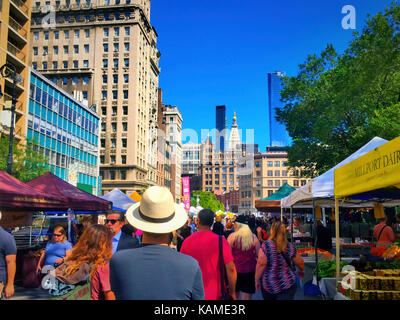 Union Square Greenmarket, NYC, USA Stockfoto