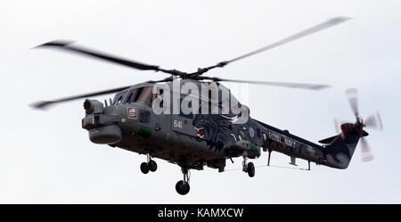 Schwarze Katze Hubschrauber Durchführen an den Rhyl Air Show in Rhyl, Wales, Großbritannien Stockfoto