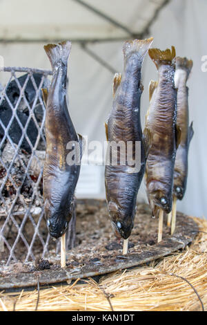 Gebratener Fisch auf einem Sticks um Heizung Kohle. Vertrieb von frisch gebackenen Fisch auf der Straße in Japan. Stockfoto