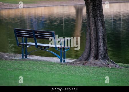 Richtbank und ein Baum neben einem Teich in Sir James McCusker Park, Iluka Stockfoto