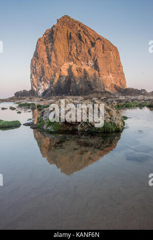 Reflexion von Haystack Rock über Boulder im flachen tide pool Stockfoto