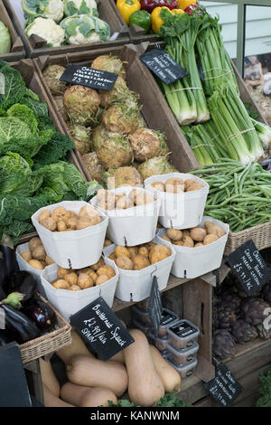 Bio Gemüse für Verkauf bei Daylesford Organic Farm Shop Herbstfest. Daylesford, Cotswolds, Gloucestershire, England Stockfoto