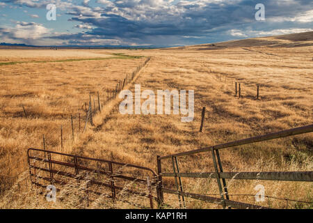 Ländliche Szene bestehend aus einer ranch Tor am Rande eines Rinderweiden in Nordkalifornien. Stockfoto