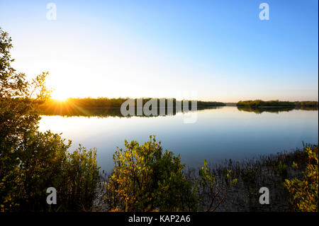 Sonnenaufgang über dem Albert River, Burketown, Golf von Carpentaria, Queensland, Queensland, Australien Stockfoto