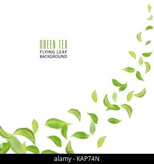 Flying grüne Blätter auf weißem Hintergrund. Blätter im Wind. Frischer Frühling Laub. Vector Illustration. Kaffee Werbung Konzept, Umwelt und Ökologie Hintergrund Stock Vektor