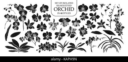 Eingestellt von isolierten silhouette Orchidee in 40 Stile. cute Hand gezeichnet Vector Illustration in weißer Umriss und schwarzen Flugzeug auf weißem Hintergrund. Stock Vektor