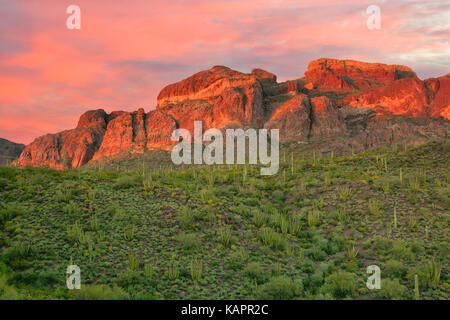 Abendrot auf der Ajo Mountain Range in Arizona Organ Pipe Cactus National Monument. Stockfoto