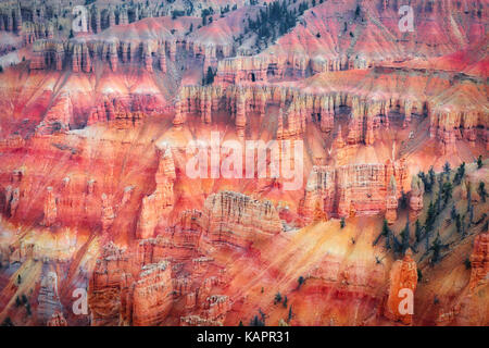 Eisen und Magnesium Oxide erstellen Diese atemberaubenden roten und violetten Farben zu den hoodoo Amphitheater in Utah Cedar Breaks National Monument. Stockfoto